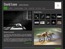 Tablet Screenshot of davidlowepics.com